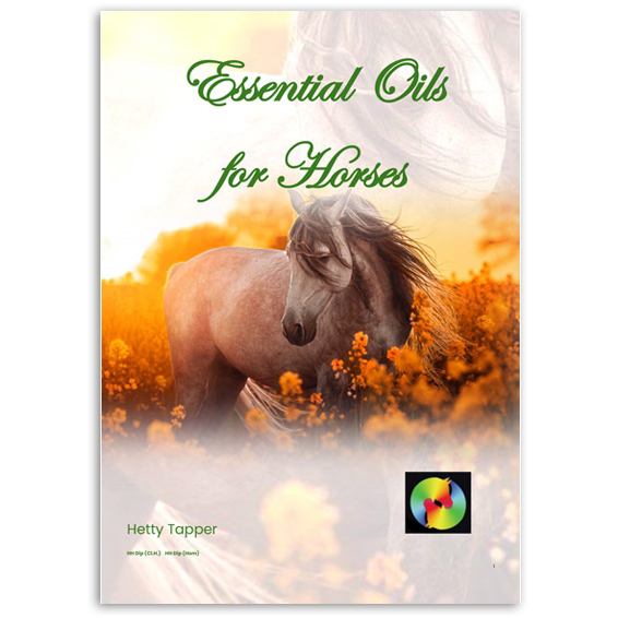 Essential-Oils-Horses-1