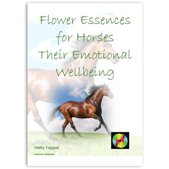 Flower-Essences-for-Horses-1